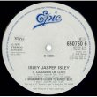 画像3: ISLEY JASPER ISLEY / 8TH WONDER OF THE WORLD (全3曲) [★USED・原盤★レア盤・人気の3曲を収録！] (3)