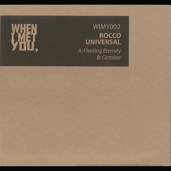 画像1: ROCCO UNIVERSAL - FLEETING ETERNITY (全2曲)【12inch】NU DISCO & DEEP HOUSE DJに大推薦の1枚！ (1)