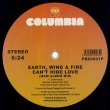 画像2: EARTH, WIND & FIRE - FANTASY (SHELTER DJ MIX) / CAN'T HIDE LOVE (MAW ALBUM MIX)【12inch】 (2)