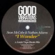 画像1: SEAN MCCABE & NATHAN ADAMS - I WONDER (LOUIE VEGA REMIX) (3VER)【12INCH】ZEPHERIN SAINTのTRIBEから2013年にリリースしたアルバム "AUDIO THERAPY" 収録曲を12インチカット！ (1)