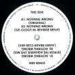 画像2: WAYNE SNOW - NOTHING WRONG (GE-OLOGY/BYRON THE AQUARIUS/JAMES BRAUN REMIXES) 【限定12"INCH】 700枚限定プレス！デビューアルバム"FREEDOM TV"からリミックスを収録した12インチ！ (2)