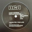 画像1: CANDY BOWMAN - I WANNA FEEL YOUR LOVE / SINCE I FOUND YOU (LOVE IS BETTER THAN EVER) (全2曲)【限定12"INCH・RECORD STORE DAY 2019 UK 限定盤】MURO / DIGGIN'ICE 99の収録曲が遂に12インチで再発！ (1)