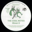 画像2: THE COOL NOTES - I WANNA DANCE (全2曲)【12"INCH】中古市場でも滅多に見かけない84年の激レア・ディスコ・ブギーが待望の再発！！ (2)