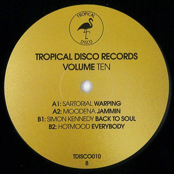 画像1: V.A. - TROPICAL DISCO RECORDS VOL.10【12"INCH】大好評！人気のディスコ エディット集〜第10弾！！ (1)