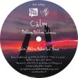 画像1: CALM - BY YOUR SIDE REMIXES PART 1【12"INCH】2018年リリースの話題アルバム"BY YOUR SIDE"からリミックス・シングル第1弾！ (1)