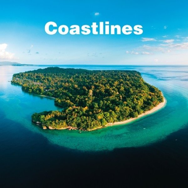 画像1: COASTLINES - COASTLINES【限定2LP】(レコードの日2019) ファースト・アルバムが2LPで待望のアナログ化！ (1)
