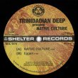 画像1: TRINIDADIAN DEEP - NATIVE CULTURE【12"INCH】(再入荷) アメリカ・サンフランシスコの実力派ハウス・プロデューサーTRINIDADIAN DEEPによる待望のニュー・シングル！ (1)