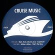 画像2: V.A. - CRUISE MUSIC VINYL JAMS VOL 1【12"INCH】ジャネット・ジャクソン90'S名曲"THAT'S THE WAY LOVE GOES"ハウス・リミックス収録！ (2)