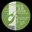 画像2: JEROME SYDENHAM & KERRI CHANDLER - YOU'RE IN MY SYSTEM (DENNIS QUIN REMIXES)【12"INCH】ディープ・ハウスの名作、"YOU'RE IN MY SYSTEM"のニュー・リミックスが登場！ (2)