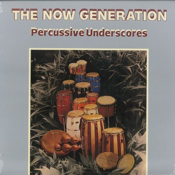 画像1: PETER LUDEMANN & PIT TROJA - THE NOW GENERATION (COLOURSOUND)【LP】パーカッション&アフロ・テイストが素晴らしい！コズミック・ディスコの激レア盤は遂に再発！ (1)