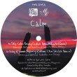 画像2: CALM - BY YOUR SIDE - REMIXES PART 3【12"INCH】3年振りとなった傑作アルバム『BY YOUR SIDE』からリミックス・カット第3弾！！ (2)