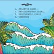 画像2: A VISION OF PANORAMA - SENTIMENTAL COAST EP【12"INCH】ジャジーで美しい音色ががタマラナイ、ニュー・ディスコ＆バレアリックのおすすめ12インチ登場！ (2)