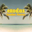 画像1: EXODUS - TOGETHER FOREVER (INCL. STEFANO RITTERI DEF MIX)【12"INCH】1982年の激レア・ガレージ・クラシックをリミックス！もちろんオリジナル＆ダブも収録！！ (1)