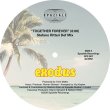 画像3: EXODUS - TOGETHER FOREVER (INCL. STEFANO RITTERI DEF MIX)【12"INCH】1982年の激レア・ガレージ・クラシックをリミックス！もちろんオリジナル＆ダブも収録！！ (3)