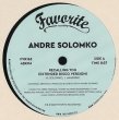 画像1: ANDRE SOLOMKO - RECALLING YOU【12"INCH】北欧のサックス奏者アンドレ・ソロンコによるスウィート・メロウ・ディスコ！ (1)