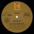 画像2: SYLVESTER - OVER & OVER (KON'S FOUND A FRIEND REMIX)【12"INCH】人気シリーズの第2弾がリプレス！不朽のロフト/ガラージ古典として愛され続けてきた名曲をリミックス！！ (2)