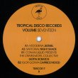 画像1: V.A. - TROPICAL DISCO RECORDS, VOL.17 【12"INCH】 お待たせしました！大好評のディスコ・エディット・シリーズ17弾！！ (1)