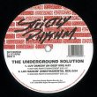 画像3: THE UNDERGROUND SOLUTION - LUV DANCIN' (30TH ANNIVERSARY)【2×12"INCH】ROGER SANCHEZ別名プロジェクト！ハウス・ミュージック永遠の名曲 "LUV DANCIN'" リリース30周年記念盤が登場！！ (3)