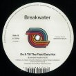 画像2: BREAKWATER - NO LIMIT / DO IT TILL THE FLUID GETS HOT 【12"INCH】 〇万円超え激レア入手困難ブギー・クラシック "NO LIMITS" が正規ライセンス再発！ (2)