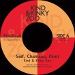 画像2: KIND & KINKY ZOO - SOIF, CHAMEAU, PINOT / EAU CHAUDE (VOODOOCUTS REMIX) 【7"INCH】 スイスの現行奇才ファンクバンド KIND & KINKY ZOO が衝撃の日本上陸！ (2)