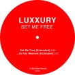 画像3: LUXXURY - SET ME FREE 【12"INCH】 L.A.実力派アーチストによる80'S感満載のブギー・ディスコ〜バレアリック・ポップが堪能できるお勧めの1枚が入荷！！ (3)