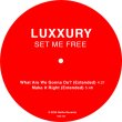 画像2: LUXXURY - SET ME FREE 【12"INCH】 L.A.実力派アーチストによる80'S感満載のブギー・ディスコ〜バレアリック・ポップが堪能できるお勧めの1枚が入荷！！ (2)