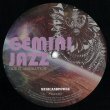 画像2: GEMINI JAZZ - EARTH DANCE 【12"INCH】 RON TRENTによる別名義プロジェクト ！パーカッシヴ・ビート、ジャジー、大人気のディープ・ハウスが入荷！！ (2)