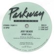 画像2: JOEY BEADS - SPIRIT CALL 【12"INCH】 リミキサーにMARK SEVEN参加！エレクトリック・ディスコ感漂うオールドスクールなディープ・ハウス全4トラック！！ (2)