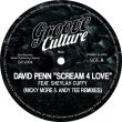 画像2: DAVID PENN FEAT. SHEYLAH CUFFY - SCREAM 4 LOVE (MICKY MORE & ANDY TEE REMIXES) 【12"INCH】(再入荷)  スペインの古株ダビド・ペンによる2003年ヒット作のNEWリミックスが登場！  (2)