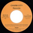 画像2: TOAST - IT'S JUST AN ILLUSION 【7"INCH】  CROWN HEIGHTS AFFAIRのメンバー等が参加し、NEW YORKのスタジオ・ミュージシャン達で結成されたTOASTによる甘くモダンな胸キュン・モダン・ソウルが再発！ (2)