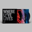 画像3: V.A. (GLITTERBOX) - WHERE LOVE LIVES VOL.1 【3枚組12"INCH】 「DEFECTED/GLITTERBOX」初のドキュメンタリー・フィルム、『WHERE LOVE LIVES』のサウンドトラック、コンピレーションが登場！新旧、レジェンドから新鋭まで話題作が一挙集結！！ (3)