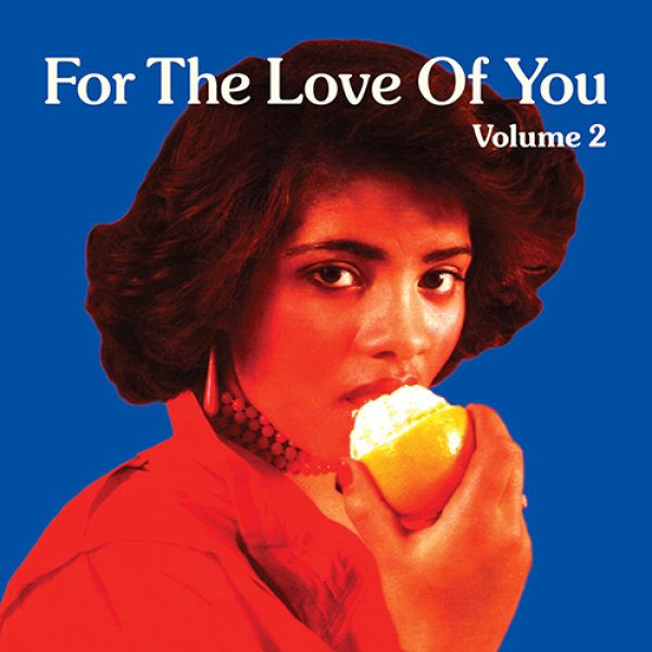 画像1: V.A. - FOR THE LOVE OF YOU VOLUME 2 【2LP】 最高なラヴァーズ・ロック・コンピシリーズ第2弾！GROVER WASHINGTON JR、SISTER SLEDGE、MIDNIGHT STAR、MARY JANE GIRLS、など〜名曲ラヴァーズ・カヴァーをコンパイル！！ (1)