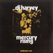 画像1: V.A. - DJ HARVEY IS THE SOUND OF MERCURY RISING VOLUMEN TRES 【2LP】 DJハーヴィーのレジデント・パーティ『MERCURY RISING』からコンピレーション・シリーズ第3弾！ (1)