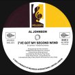 画像2: TATA VEGA / AL JOHNSON - I'VE GOT MY SECOND WIND 【12"INCH】 極上メロウ・ソウル名曲と、同曲をソウル・ブギーにカヴァーした楽曲をカップリング収録した正規再発12インチが登場！ (2)