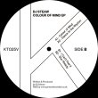 画像2: DJ STEAW - COLOUR OF MIND EP 【12"INCH】 KERRI CHANDLERへのオマージュ作品？と思ってしまう図太くてキレのあるハウス・トラックを計4曲収録！ (2)