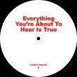 画像1: UNKNOWN - EVERYTHING YOU’RE ABOUT TO HEAR IS TRUE 【12"INCH】 スウェーデンのPER-ERIK HALLINによる1982年マイナー音源や、SERGE GAINSBOURGの1977年ジャズファンク・ブギーをリエディット！ラブリーでナイスなブギー全5曲！ (1)