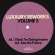 画像1: LUXXURY - VOL 5 【12"INCH】 毎度人気のREWORKシリーズ第5弾！今回は、STEVE MILLER BANDやTHE ALAN PERSONS PROJECTの名曲を用いながらバレアリック/コズミック路線のエディットを展開！ (1)