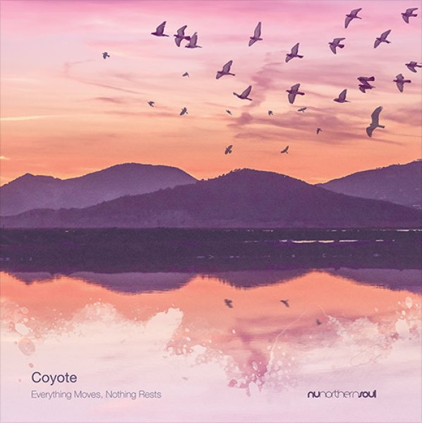 画像1: COYOTE - EVERYTHING MOVES, NOTHING RESTS 【LP】 オール・シーズン楽しめる極上バレアリック・トラックが詰まった、イギリスの古参ユニットによる最新アルバムが登場！ (1)