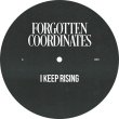 画像1: UNKNOWN - I KEEP RISING 【12"INCH】 ノルウェー産コンテポラリー・ジャズをサンプリングした、思わずダンスフロアでハマってしまうエモーショナルな感動ディープ・ハウス！ (1)