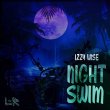 画像1: IZZY WISE - NIGHT SWIM 【7"INCH】 サンフランシスコのマルチインストゥルメンタリストがカムバック！フルートが魅惑的なトロピカル・メロウ・ジャムと、ダブハウス最高です！ (1)