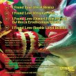 画像2: MIDNIGHT MAGIC - I FOUND LOVE EP 【12"INCH】 HERCULES & LOVE AFFAIRから派生したニューヨークのバンドによるフロアを熱く賑わすエモーショナルなインディ・ディスコ！DIMITRI FROM PARIS & DJ ROCCAリミックスも収録！ (2)