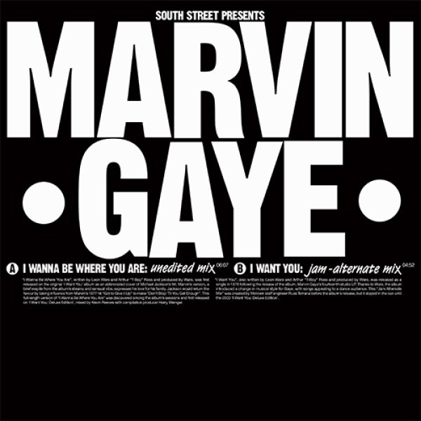 画像1: MARVIN GAYE - I WANNA BE WHERE YOU ARE / I WANT YOU 【12"INCH】(再入荷・通常盤)  2000年代初頭に2CDで出ていたマーヴィン・ゲイ「I WANT YOU」DELUXE EDITIONに収録の特別な音源が12インチで再発！ (1)