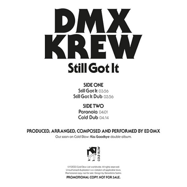 画像1: DMX KREW - STILL GOT IT 【12"INCH】 80年代のPRINCEを彷彿させるキャッチーなエレクトロ・ファンク/シンセポップなど実にキャッチーで素晴らしい内容！ (1)