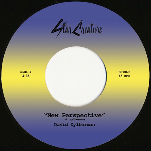 画像1: DAVID ZYLBERMAN - NEW PERSPECTIVE 【7"INCH】 パリ出身L.A.在住のプロデューサー/シンセ奏者DJ GHOSTことDAVID ZYLBERMANによる7インチ・シングル！ ハウステンポなジャズファンク＆モダン・ブギー/ファンクの両面！ (1)