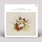 DJ MITSU THE BEATS / 巨勢典子 & HARUKA NAKAMURA - QUIET