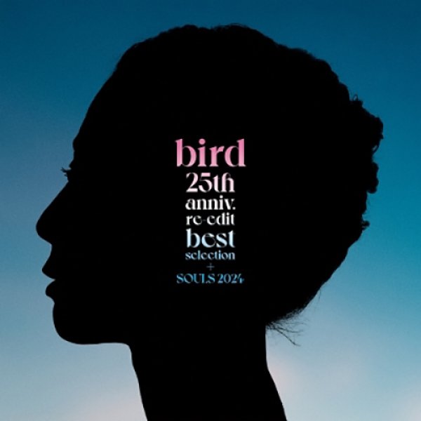 画像1: BIRD - 25TH ANNIV. RE-EDIT BEST SELECTION + SOULS 2024 【LP】 大沢伸一最新VER.含むデビュー25周年RE-EDITベストCDから厳選12曲収録！ (1)