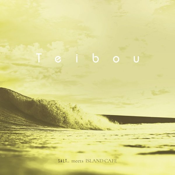 画像1: TOKIMEKI RECORDS FEAT. ひかり - 堤防 【7"INCH】 グッド・シティポップ！80年代に活躍したシンガーグライター二名敦子の1987年の名曲「堤防」をオシャレにカバー！ (1)