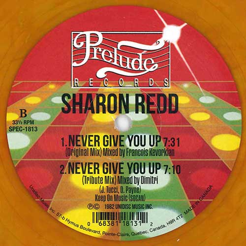 SHARON REDD - NEVER GIVE YOU UP (INCL. MICHAEL GRAY REMIX)【12