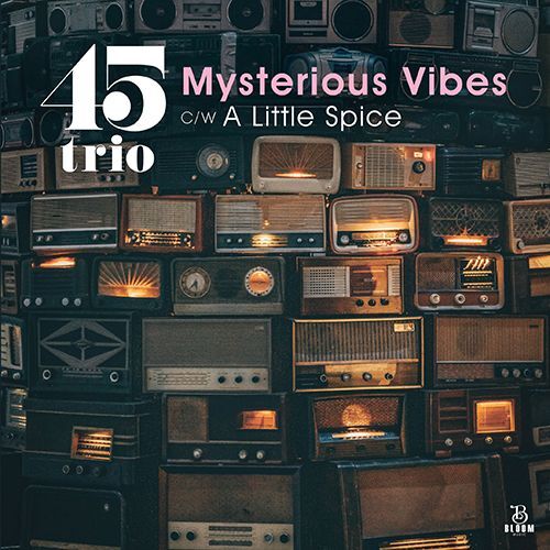 45TRIO - MYSTERIOUS VIBES / A LITTLE SPICE【7