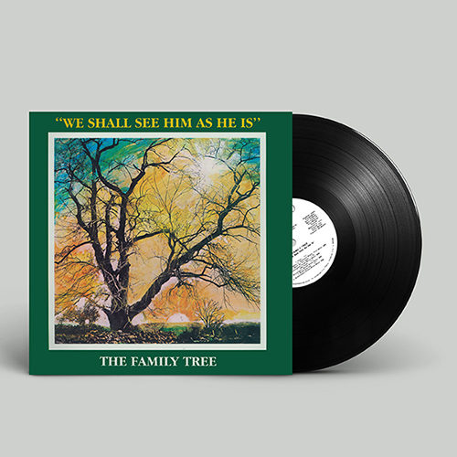 THE FAMILY TREE - WE SHALL SEE HIM AS HE IS【LP】(RECORD STORE DAY 2024 限定盤) STEVIE WONDER/